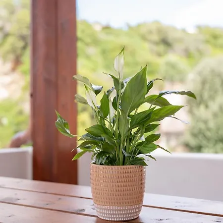 Vista Montagna Holiday home Cala Gonone