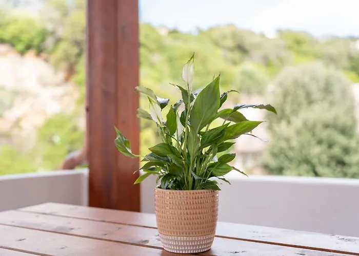 Vista Montagna Dom wakacyjny Cala Gonone